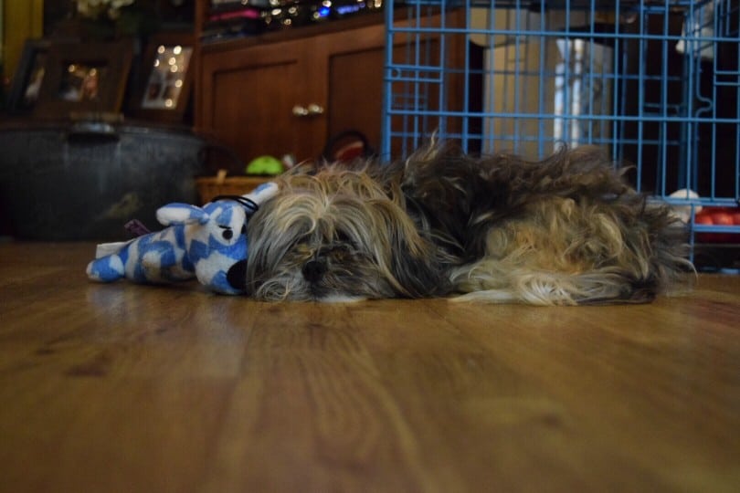 dog crate looks like furniture