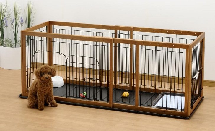 dog crate for Poodle