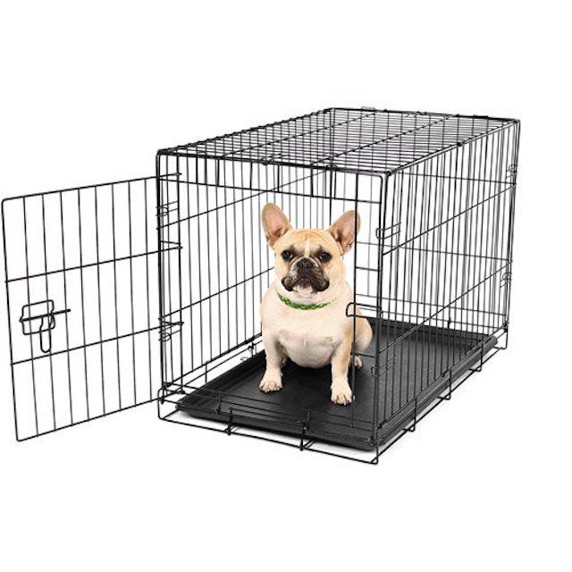 dog cages for small dogs